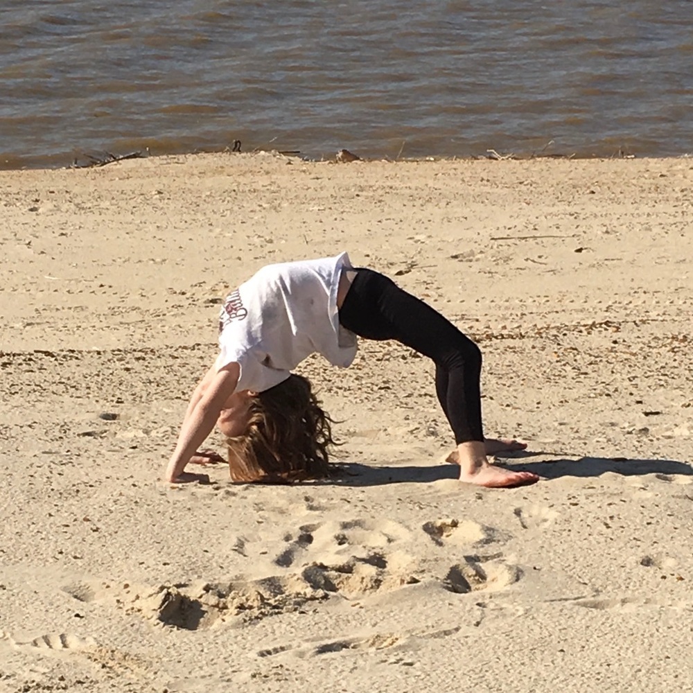 Meet your Posher, Bella